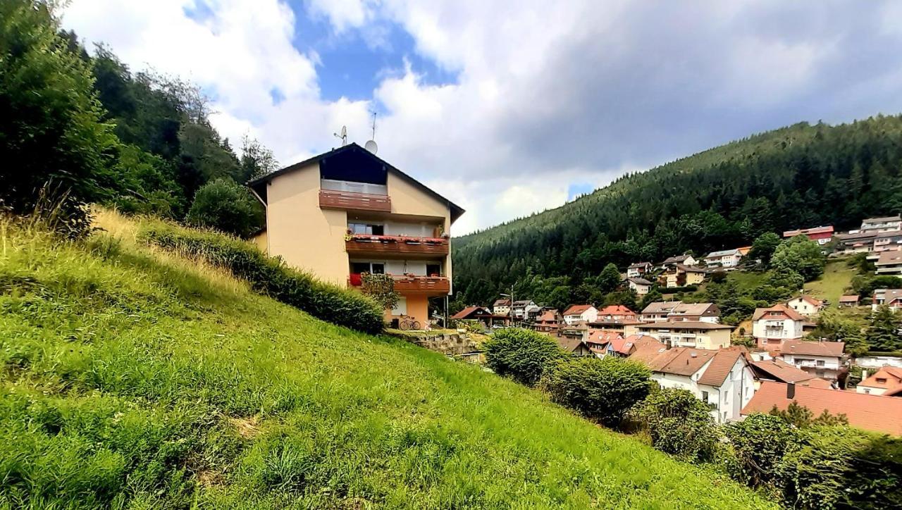 Fewo Sehl Bad Wildbad Exterior foto